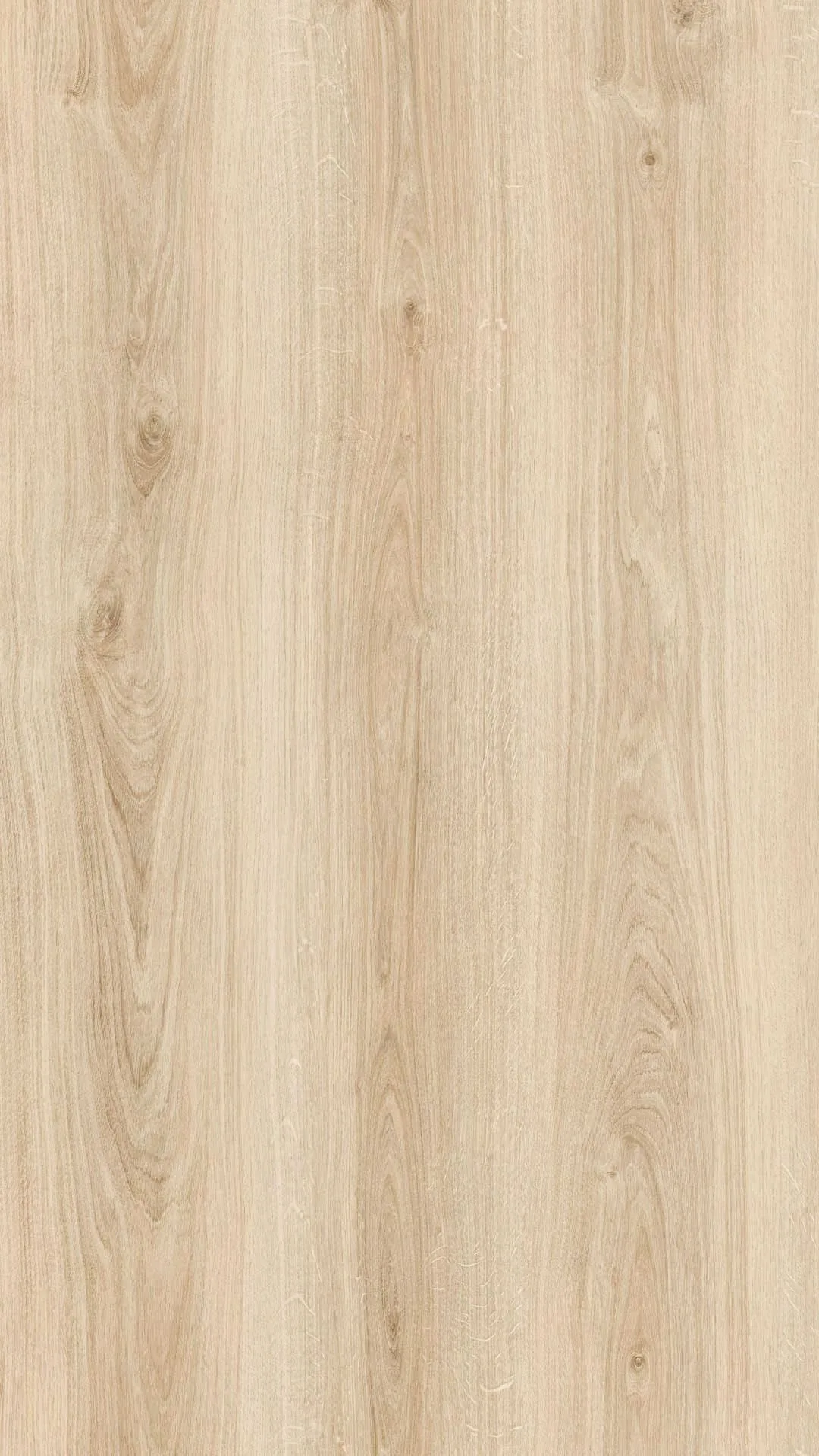 Mẫu vật liệu MDF Melamine High Light Oak của MH