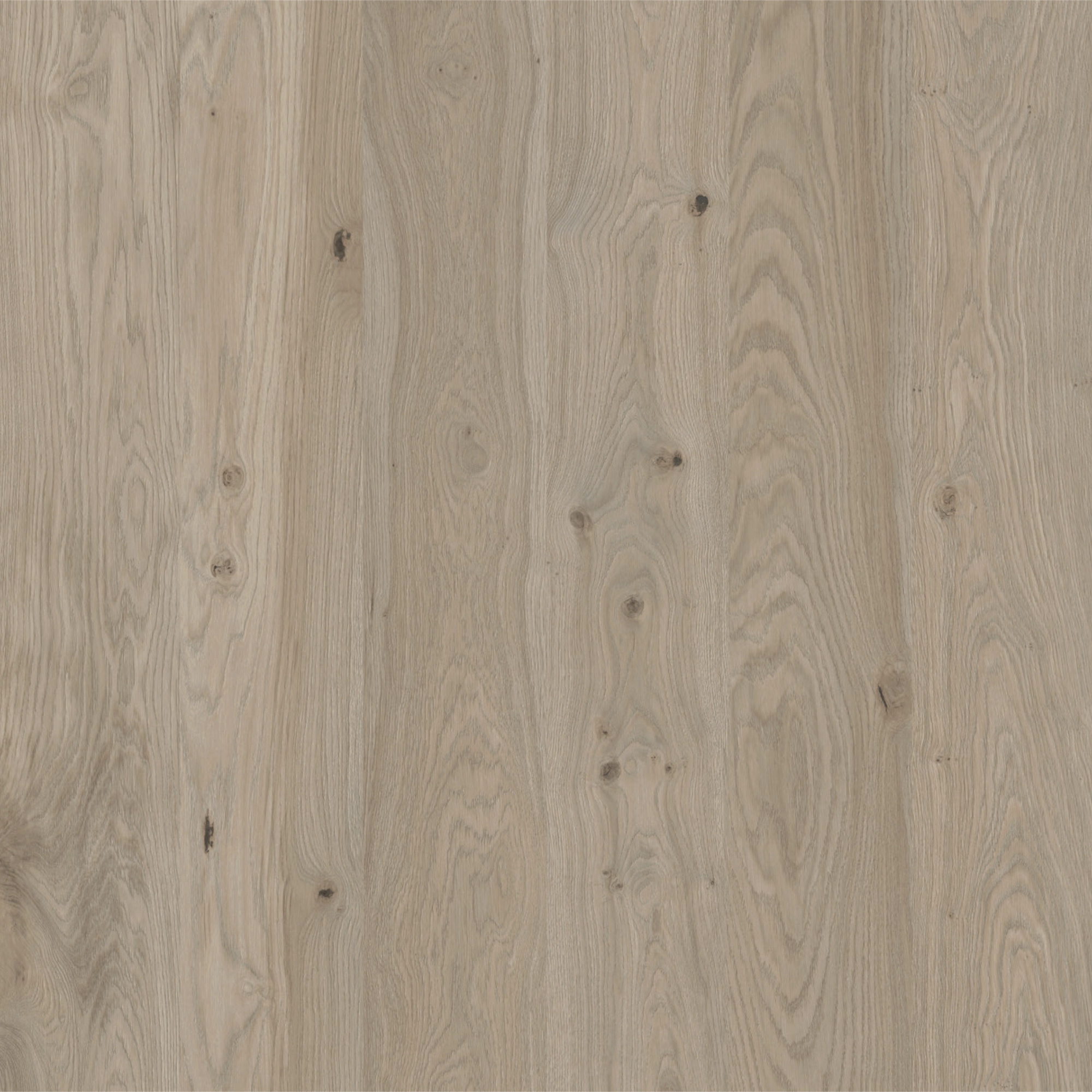 Nordic Oak