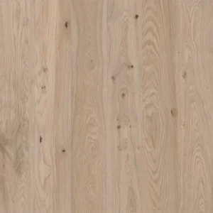 Sand Oak