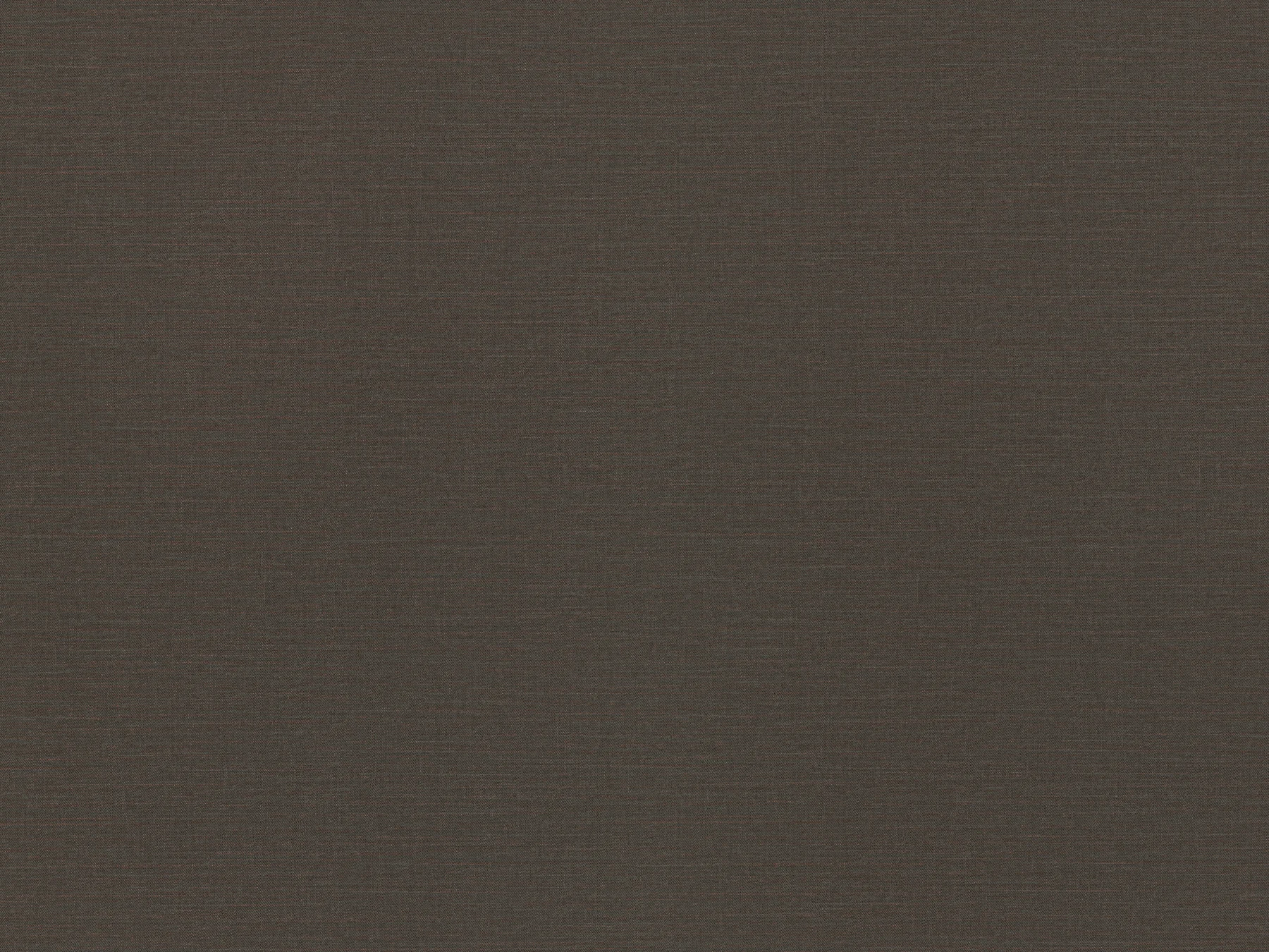 Espresso Denim Jeans