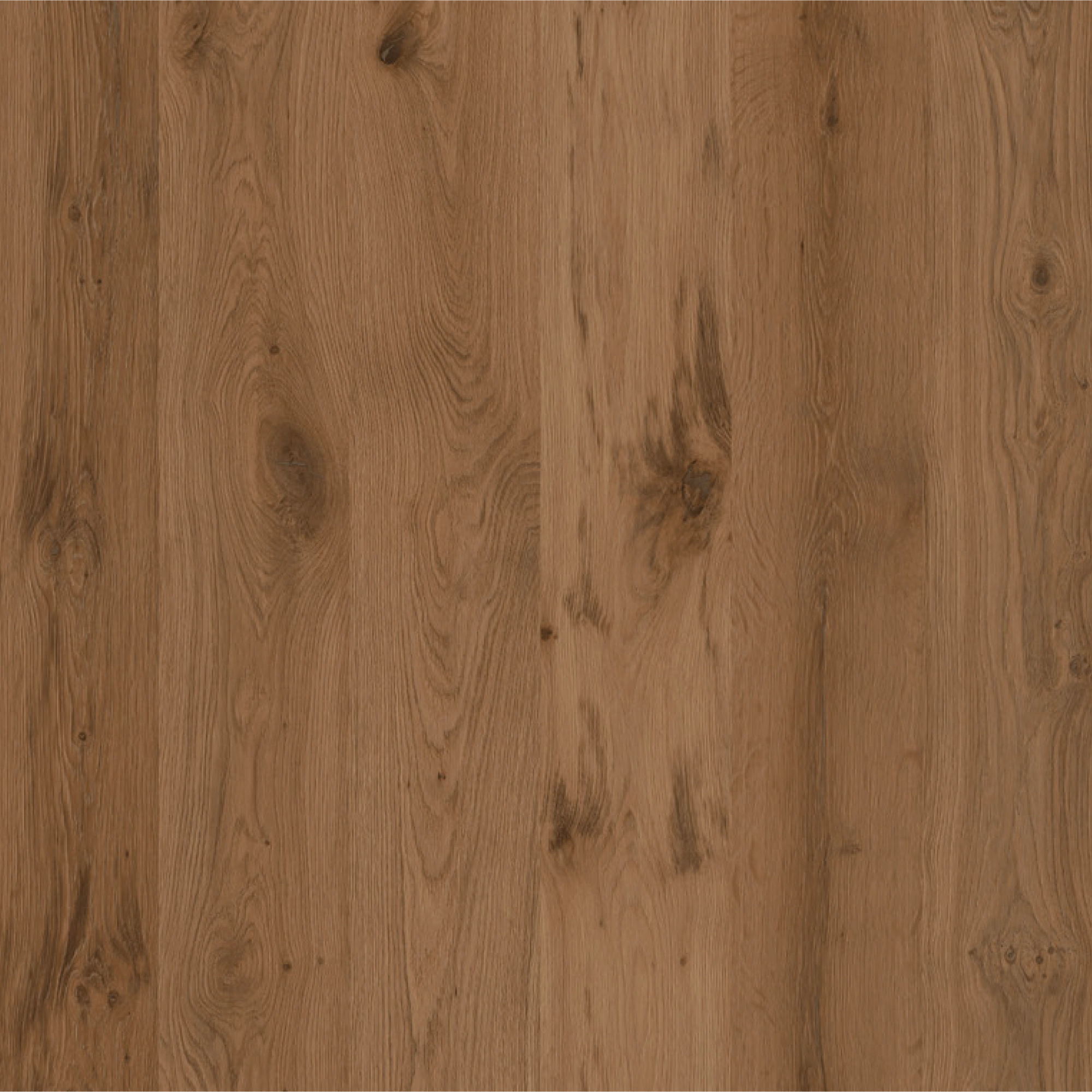 Tobacco Oak