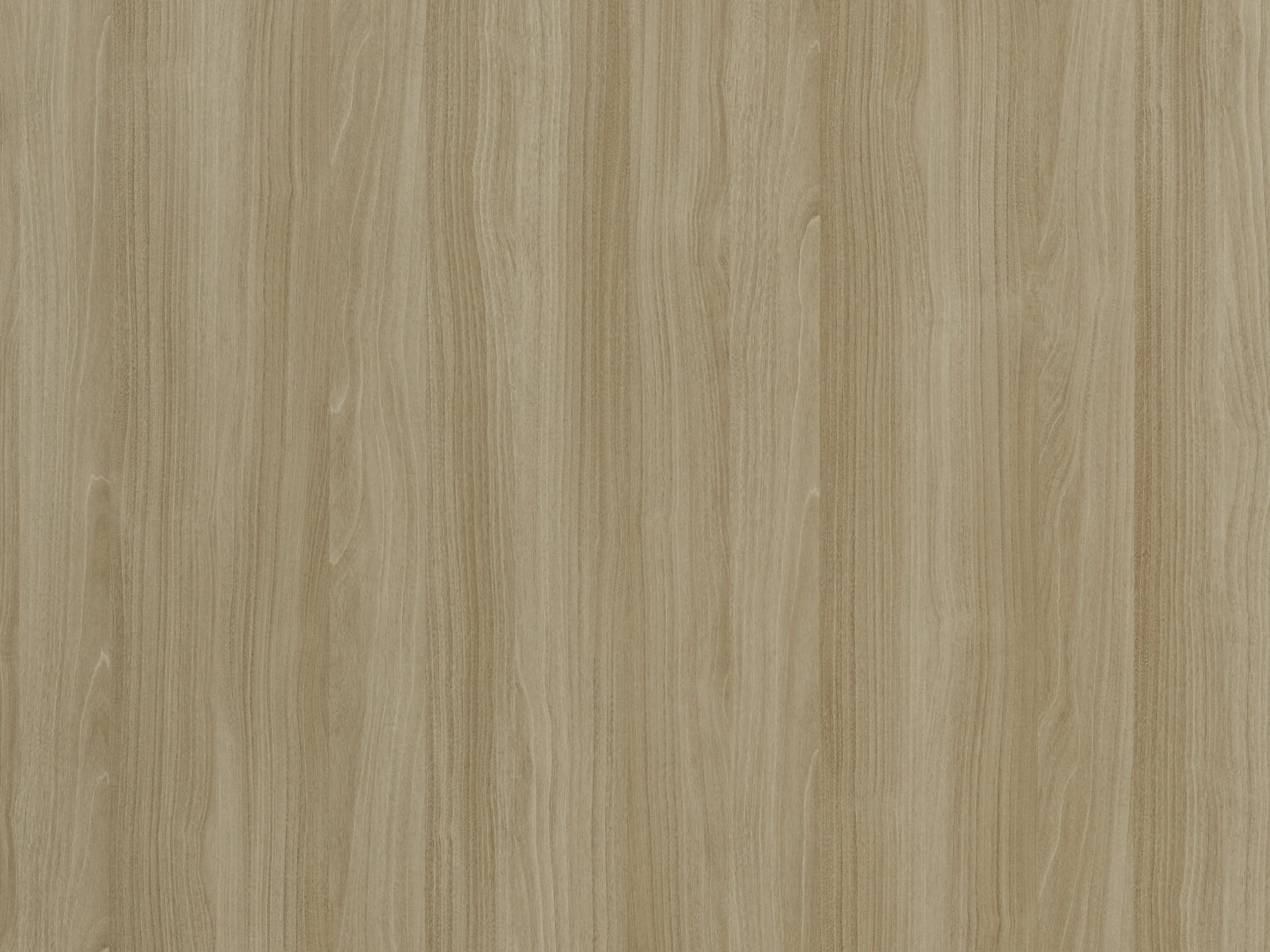 Nordic Maple