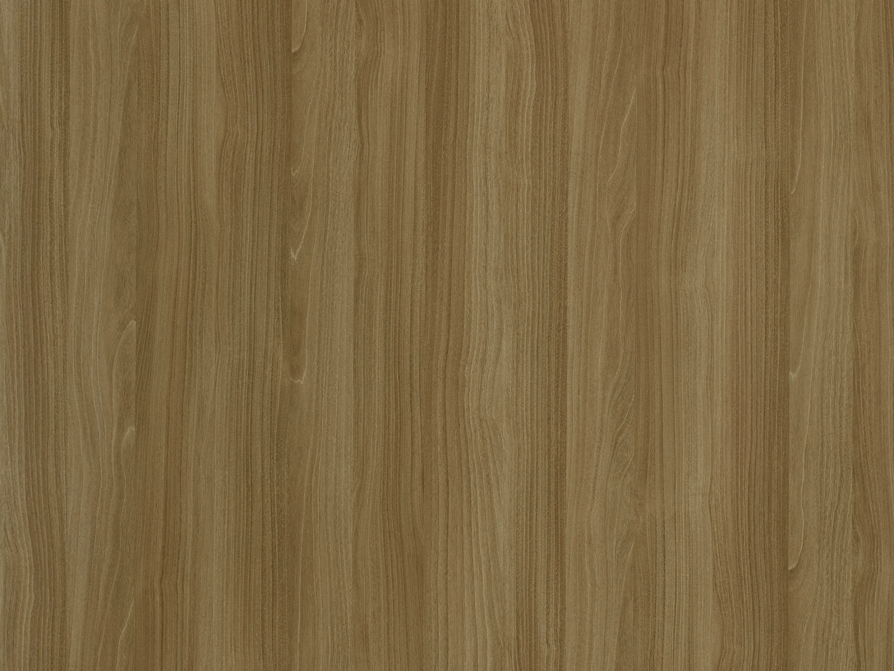 Golden Maple