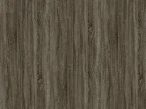 Ebony Oak