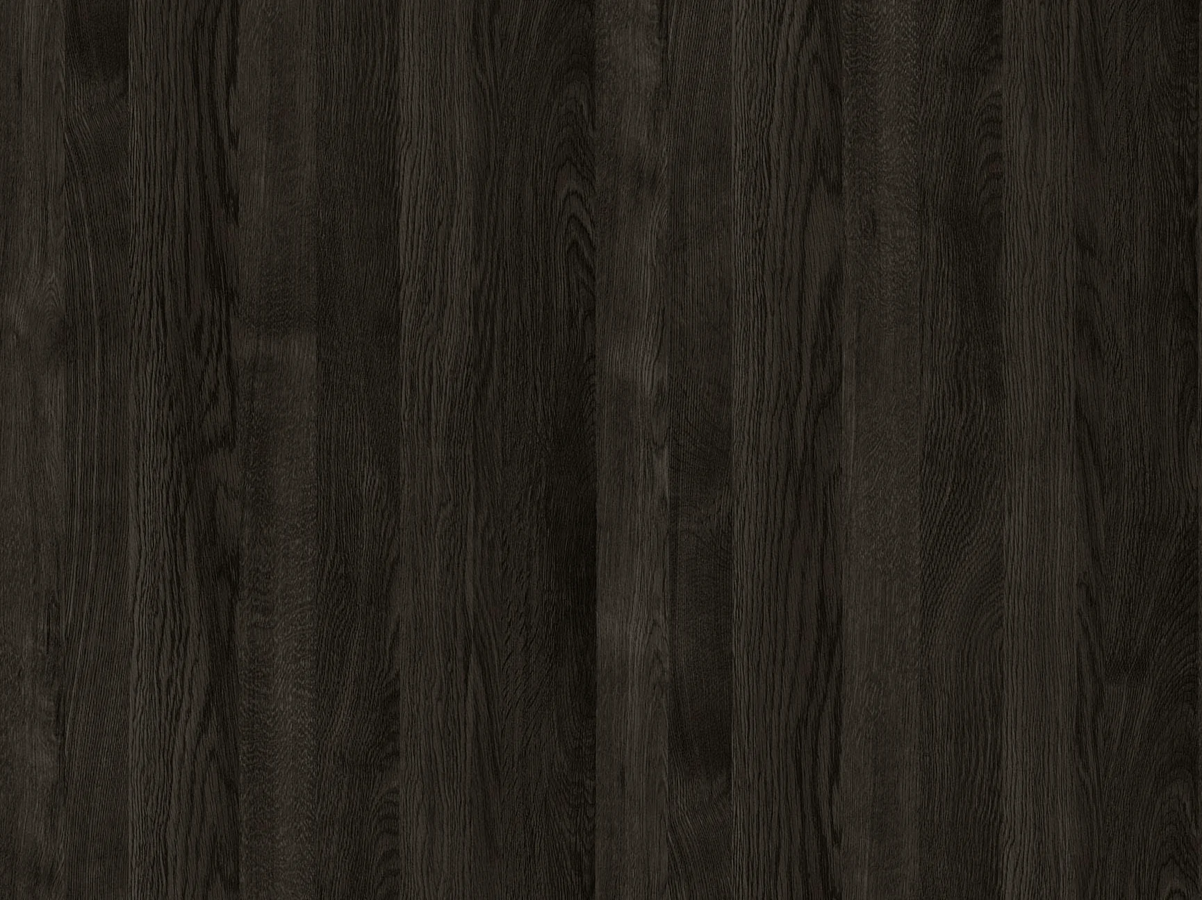 Eastern Black Oak
