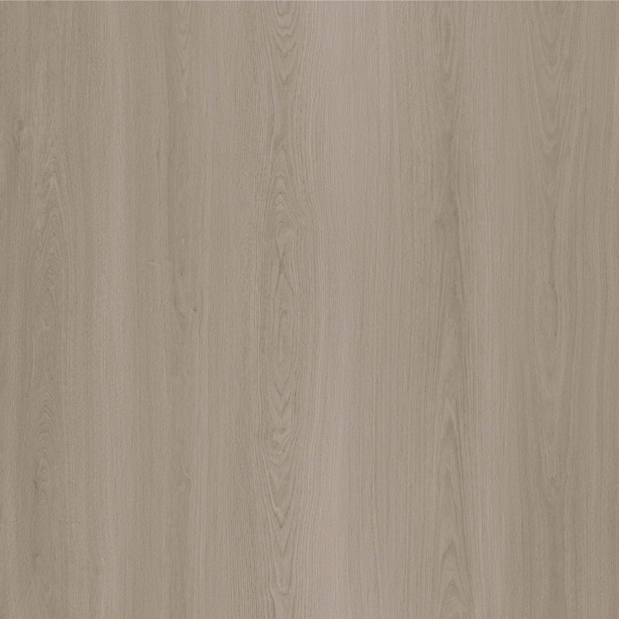 White Oak