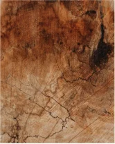 Wood Grains